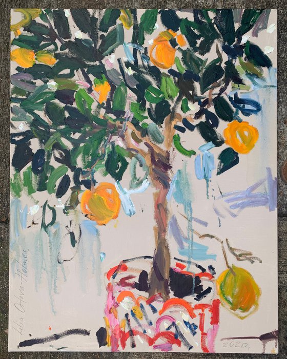 An orange tree in a pot.