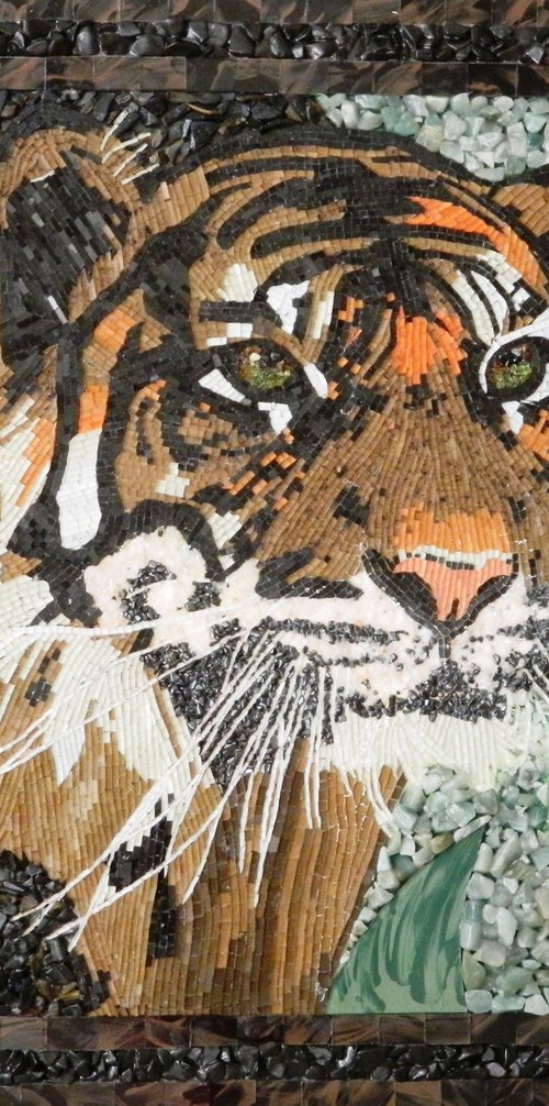 Shadows - Sumatran tiger by Liza Wheeler