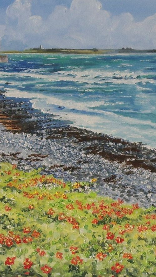 Nasturtiums on Castletown Shore - Isle of Man by Max Aitken