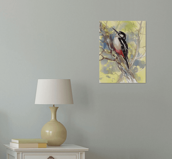 Dawny Woodpecker