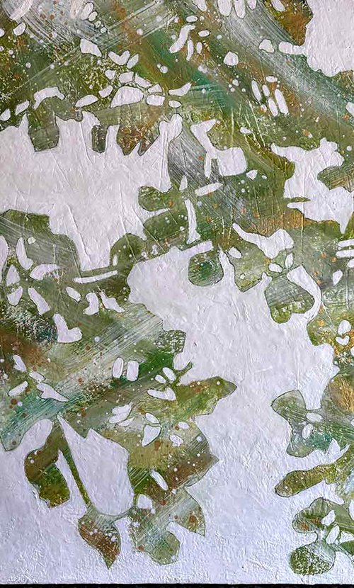 Canopy of Light by Alyson Howard