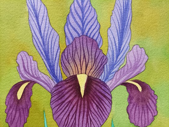 Tropical Eden n.6 - Iris