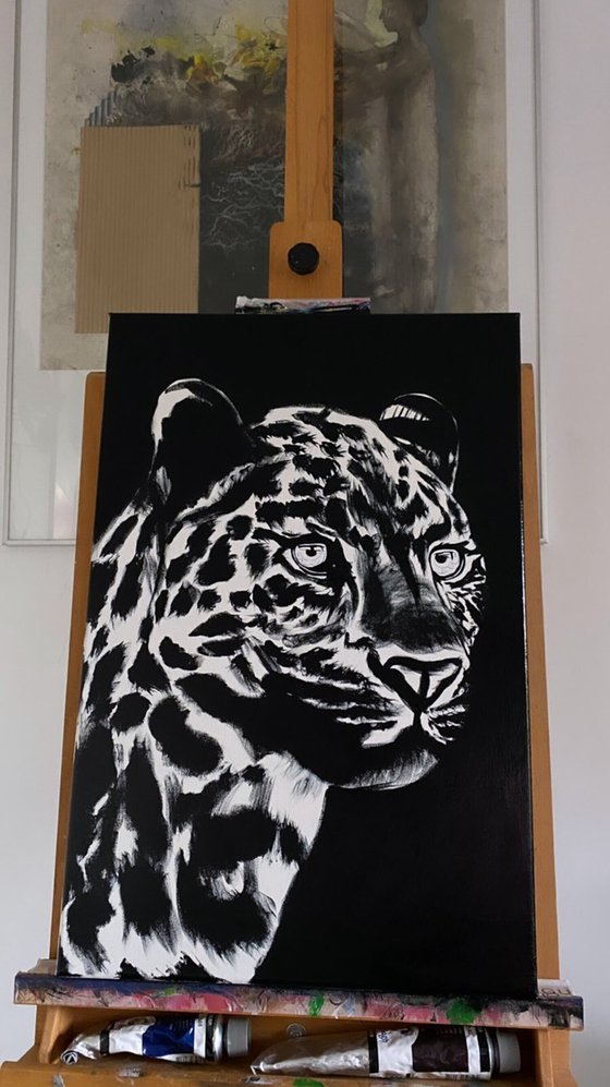 Leopard