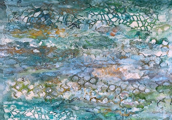 Beneath the Sea Shallows