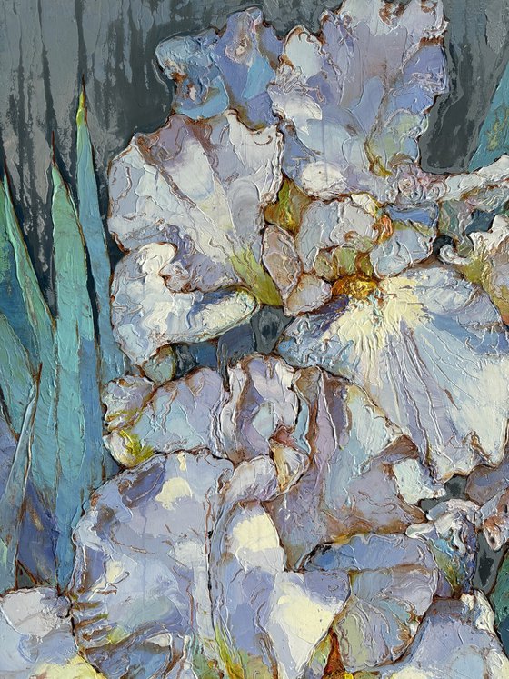 Irises ( for Malcolm)