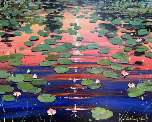 Water lilies. Sunset by Yevheniia Salamatina