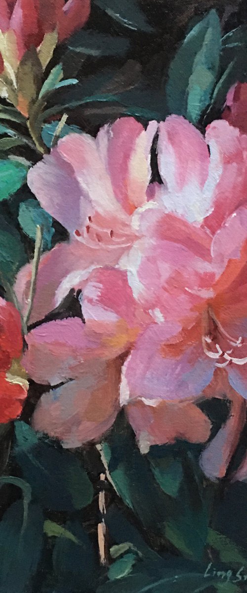 Garden Rhdodendron by Ling Strube