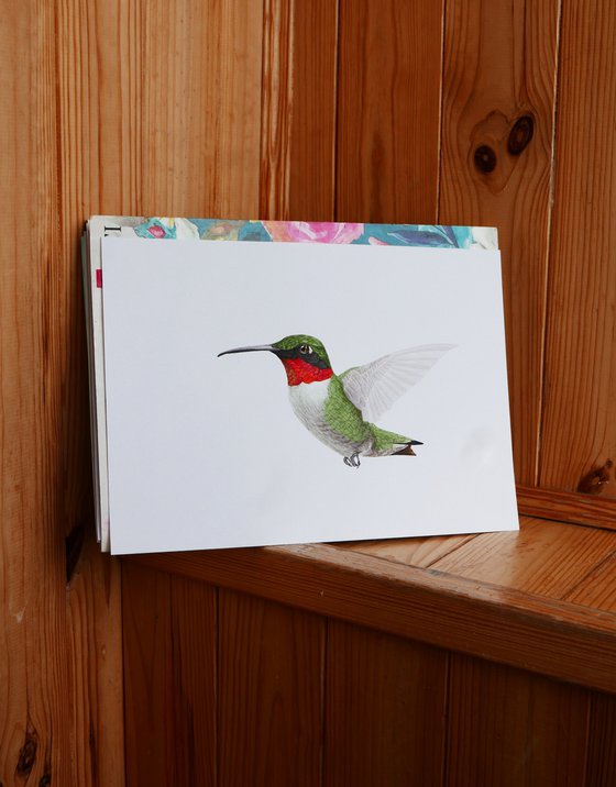 Hummingbird in flight sketch #2