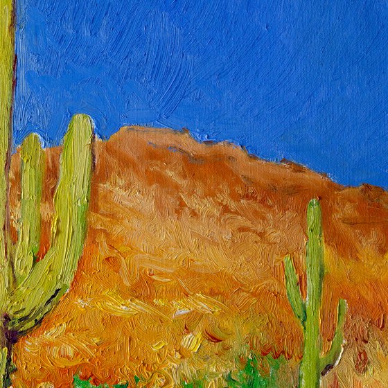 Saguaro Cactuses