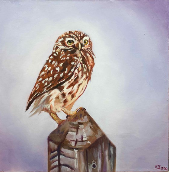 Athena Owl