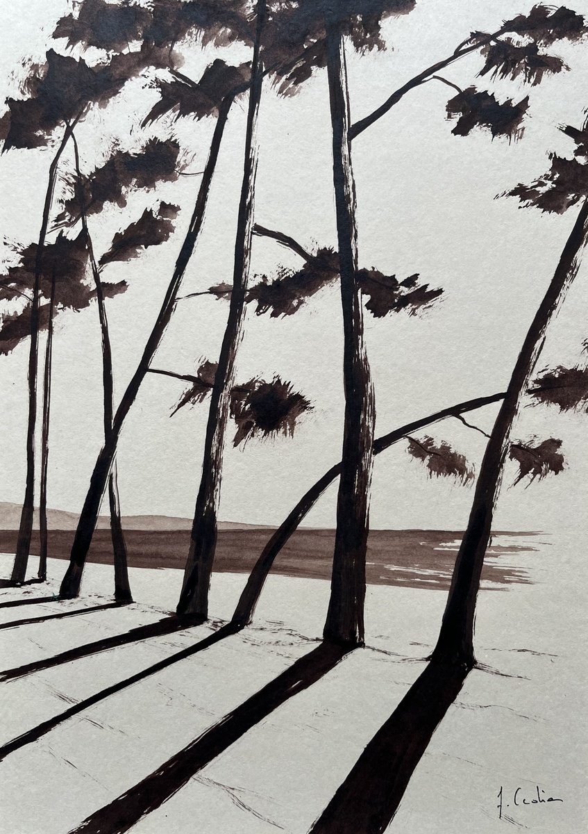 Ink Drawing , Cap Coz Burnt Umber By Cadiou Frederic, 9 X 13, Artwork For Sale On Artfinder