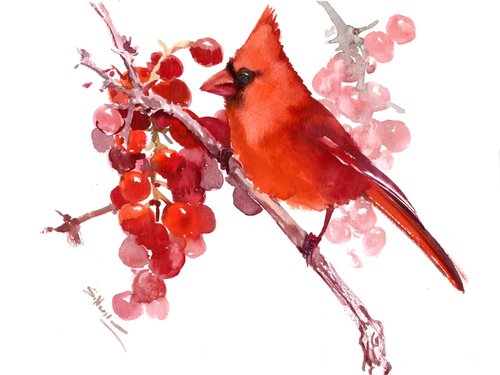 Red Cardinal Bird and Berries by Suren Nersisyan