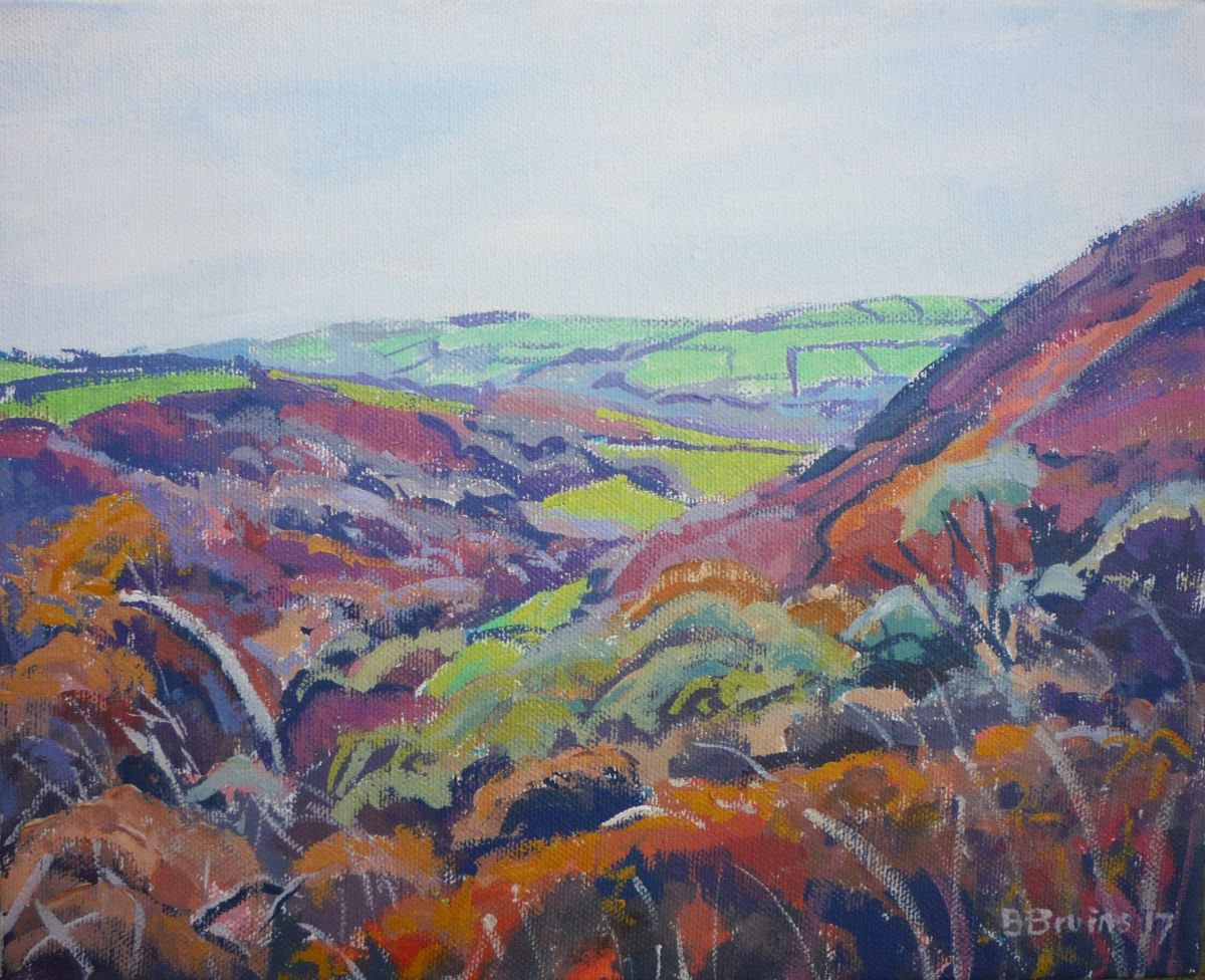 Exmoor autumn woods by Bert Bruins