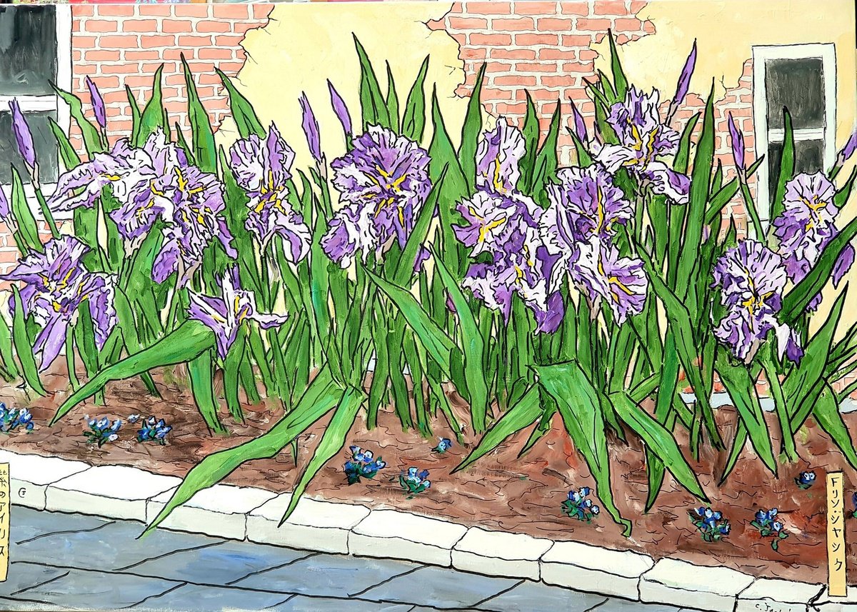 Botanical Acrylic Painting By Colin Ross Jack, 39 X 28, Irises 6, Original Artwork