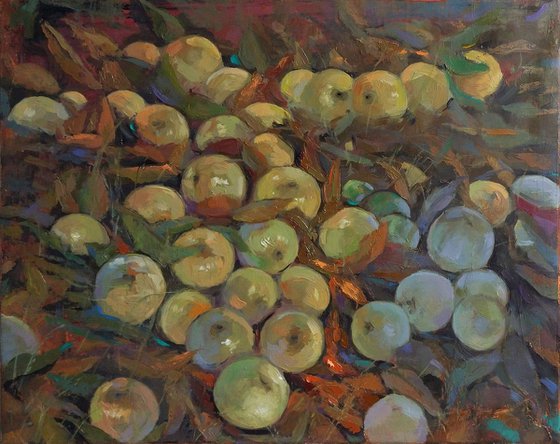 Apples Harvest