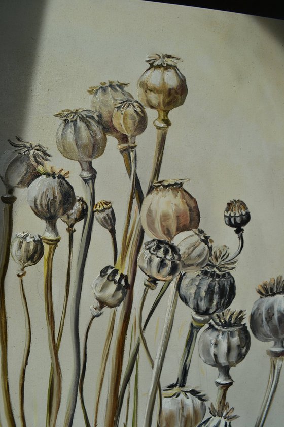 Pastel Poppy Pods