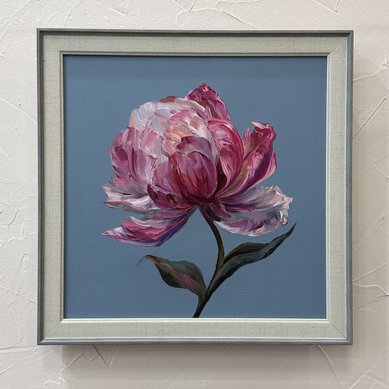 Delicate pink peony