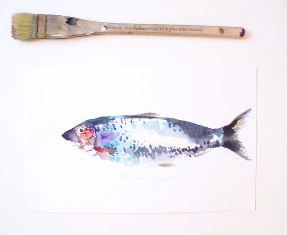 Herring Fish Watercolour