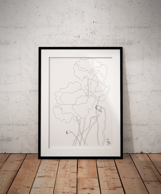 Poppies 1