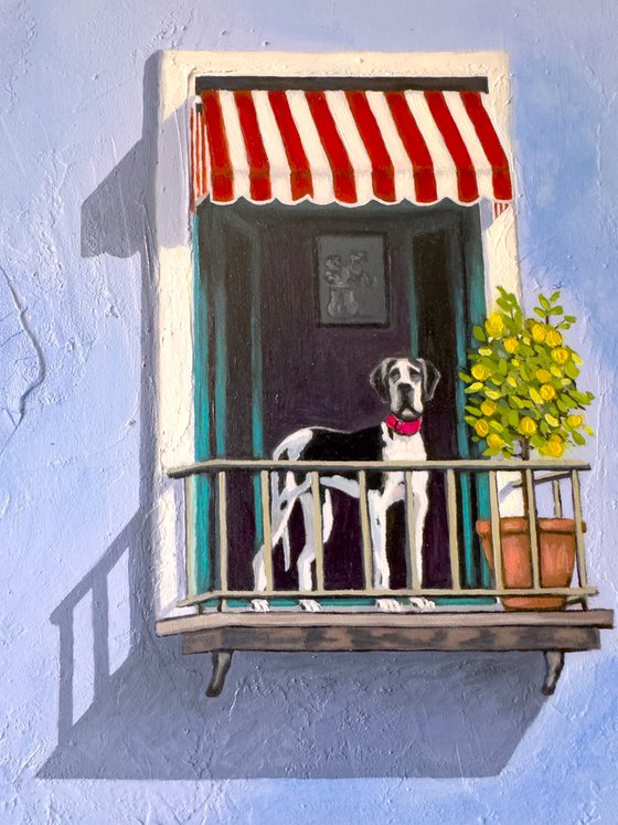 Textured Walls - Dog