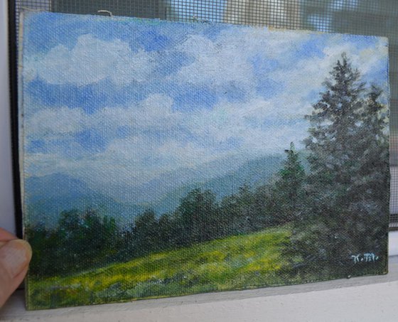 Blue Ridge Mountain Meadow # 2 - 5X7 oil (SOLD)