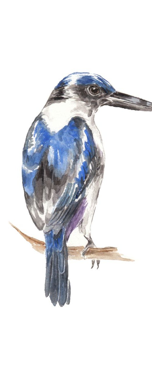 Kingfisher Bird Original Watercolor by Lauren Rogoff