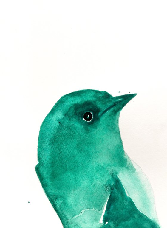 Bird