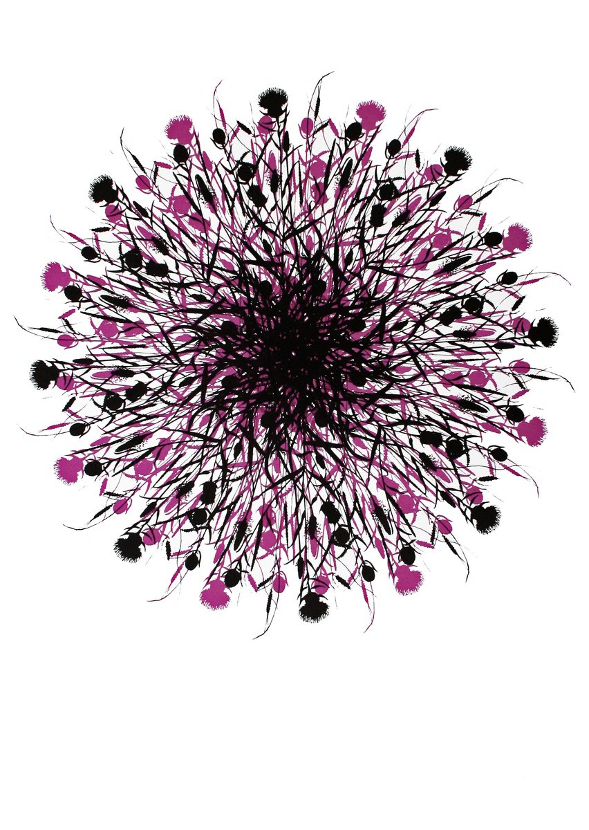 Graphic Botanical Screenprint By Kath Edwards, 20 X 28", Orbital #2 (Pink), Original Artwork