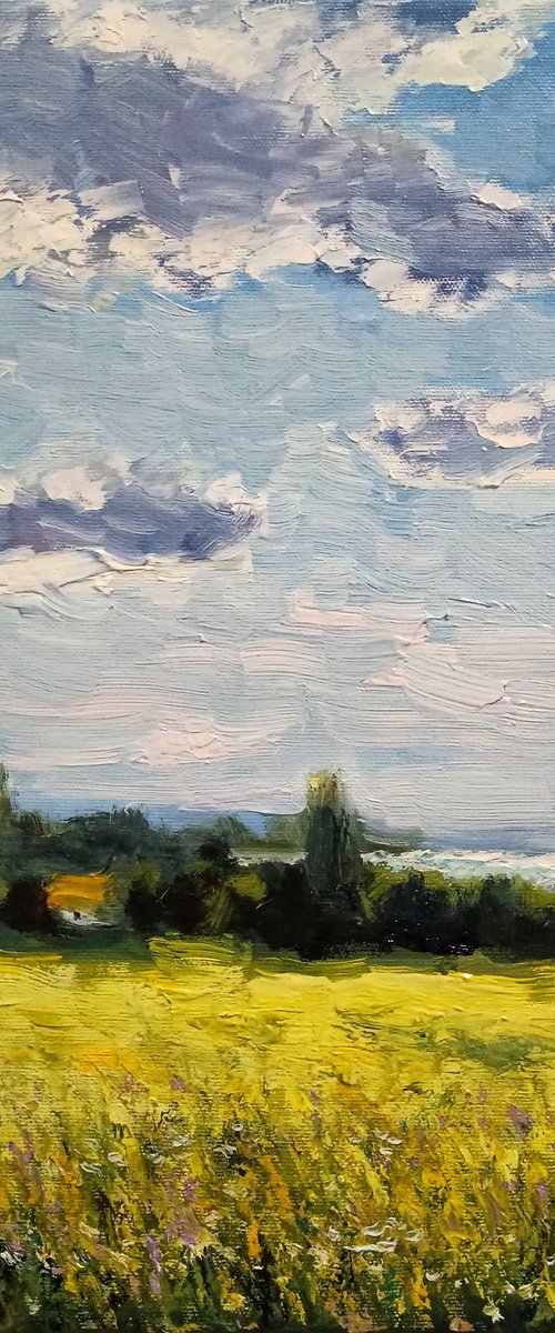 Summer noon by Oleh Rak