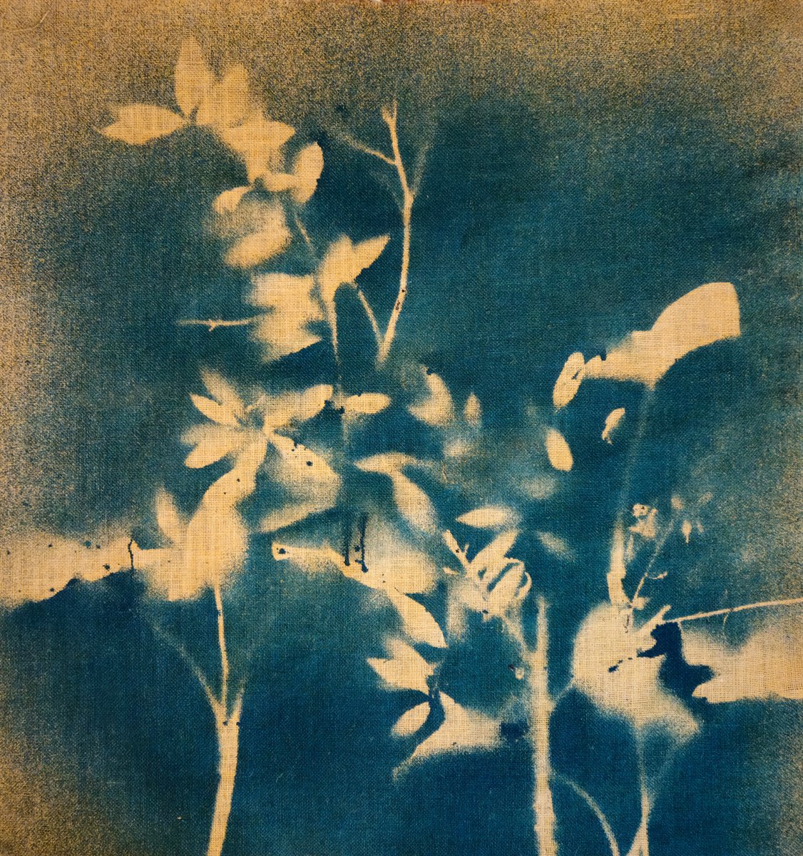 Surrealistic Botanical Acrylic Painting By Stefano Mazzolini, 35 X 39", Rf49, Original Artwork