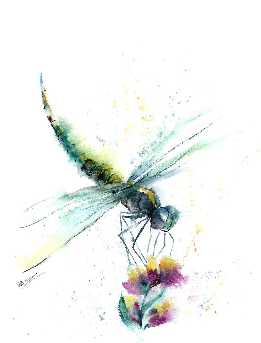 Green Dragonfly - Original watercolor painting by Olga Shefranov (Tchefranova)
