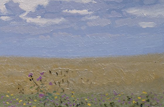 Sky