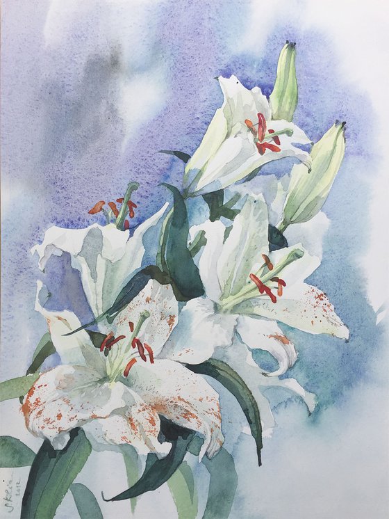 White Lilies on Blue
