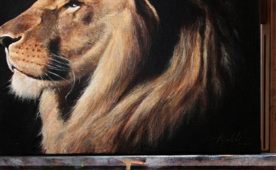 Lion - Commissioned painting