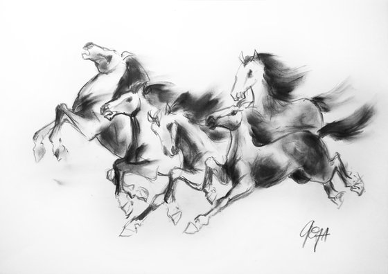 HORSES