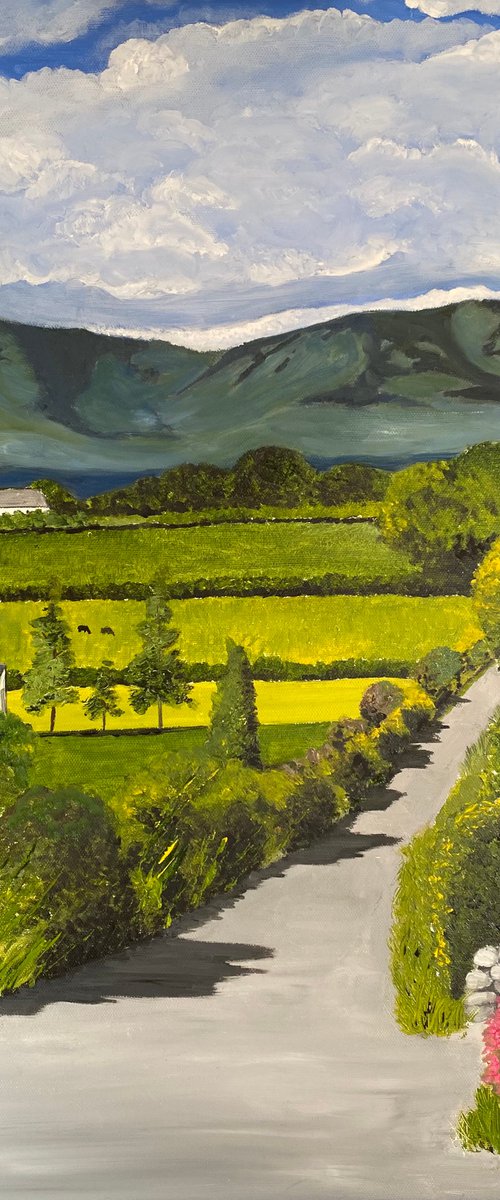 Road to the Comeragh Mountains by MAGGIE  JUKES