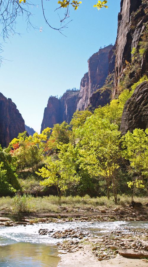 The Virgin River in Zion by Alex Cassels