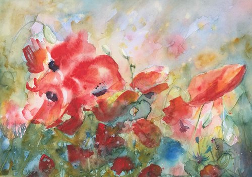 Poppy Meadow by Sarah Stowe