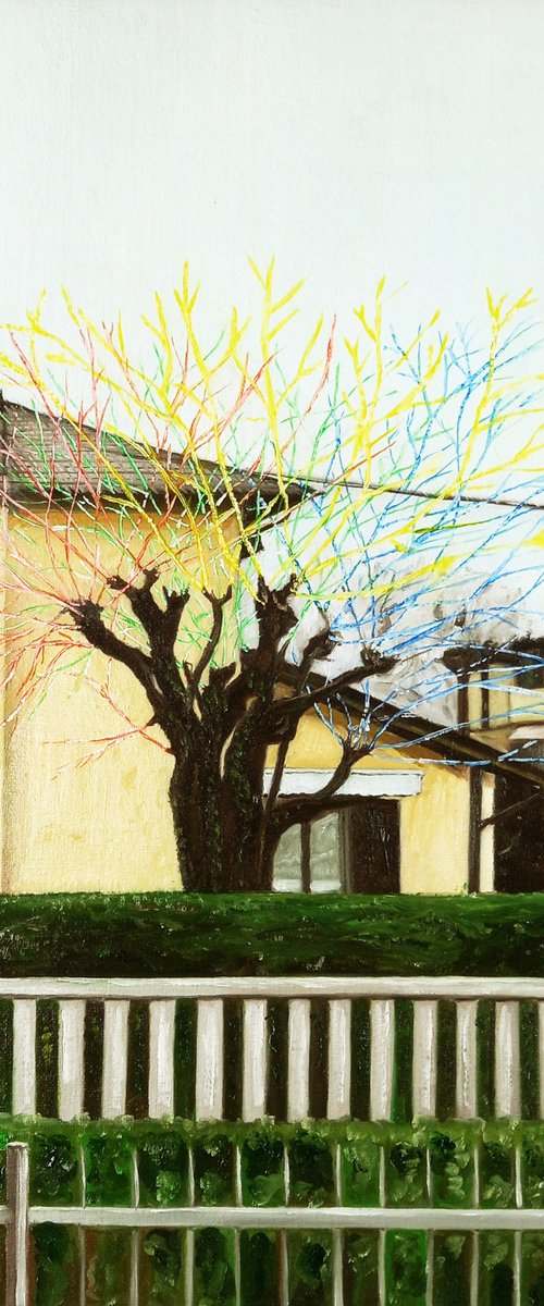 Winter electric tree by Paolo Borile