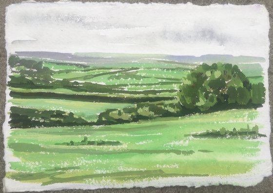 Fields outside Delabole, Cornwall