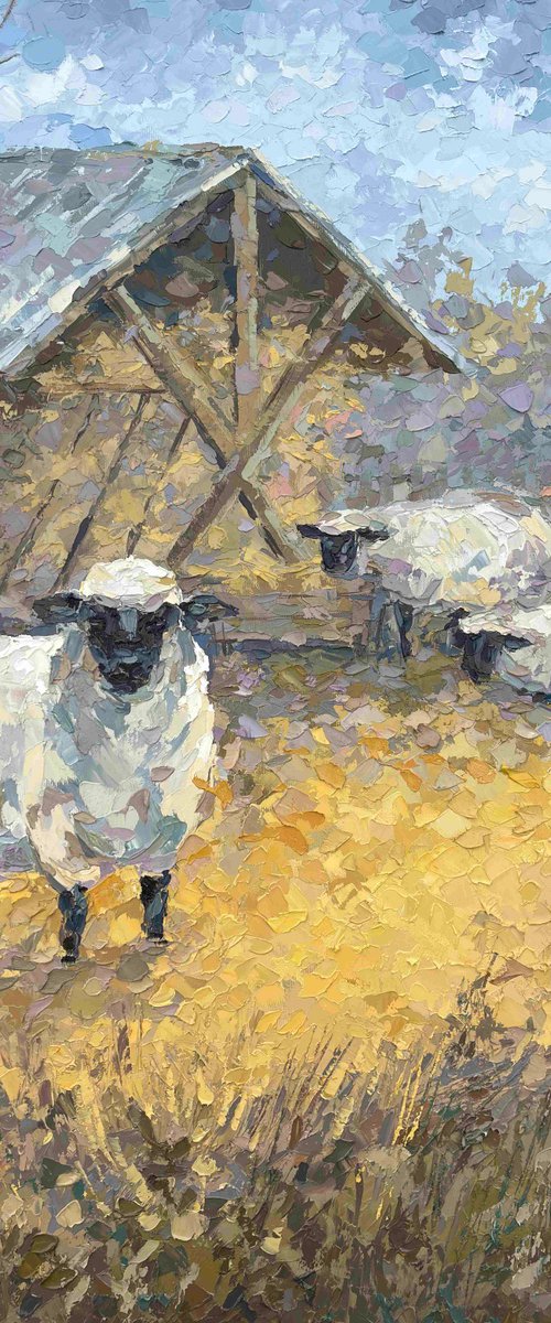 "Three Sheep" by OXYPOINT