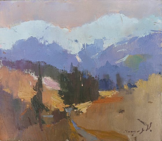 Borzhava Valley