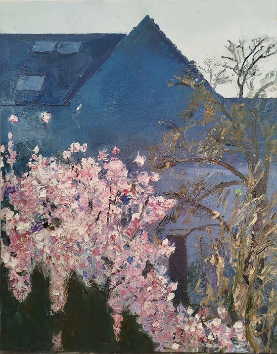 The Tree Is Blooming