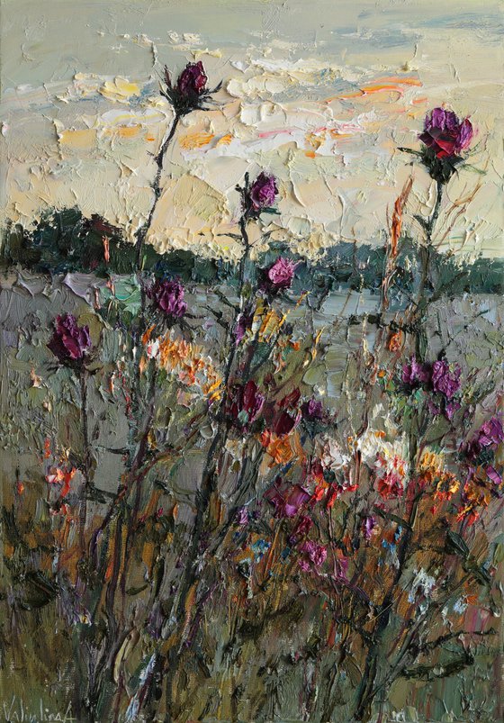 Evening Wildflowers