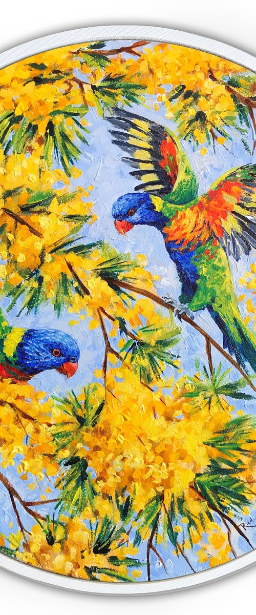 Rainbow lorikeets in mimosas by Irina Redine