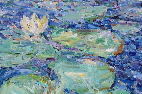 "Water Lilies "
