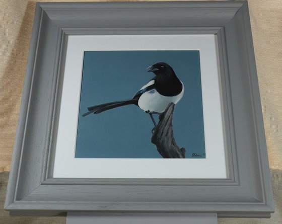 Magpie Painting, Bird Artwork, Animal Art Framed