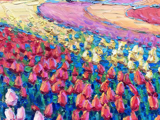 Field with tulips