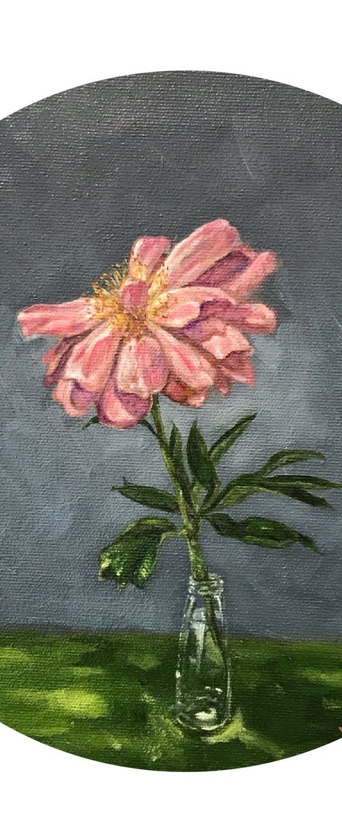 Pion by Marina Deryagina