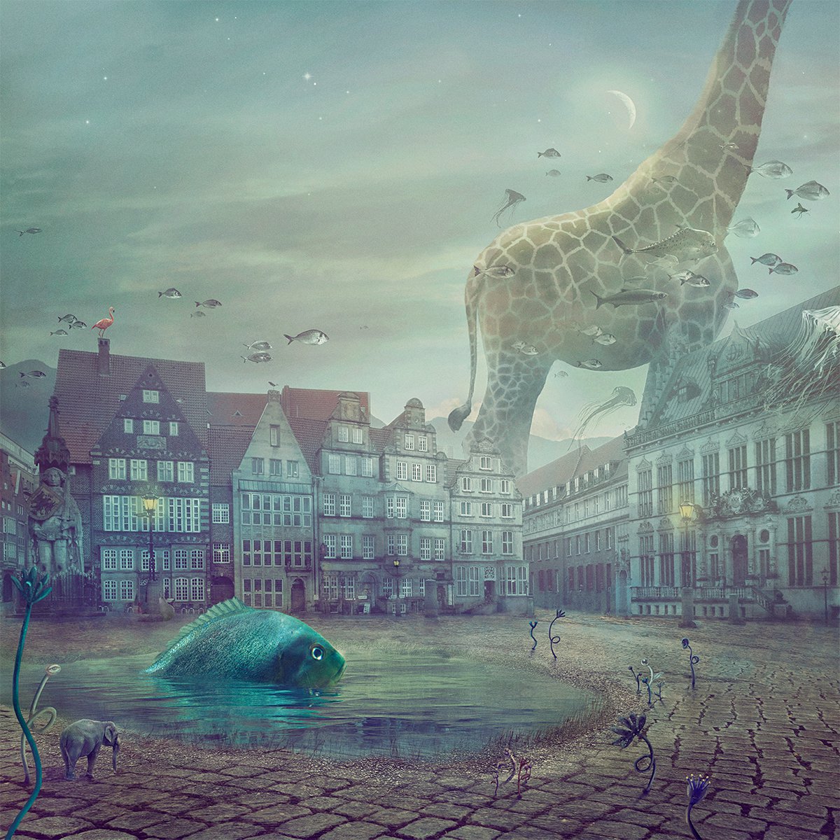 Surrealistic Animal Photograph By Nikolina Petolas, 31 X 31", Fish Tales, Original Artwork